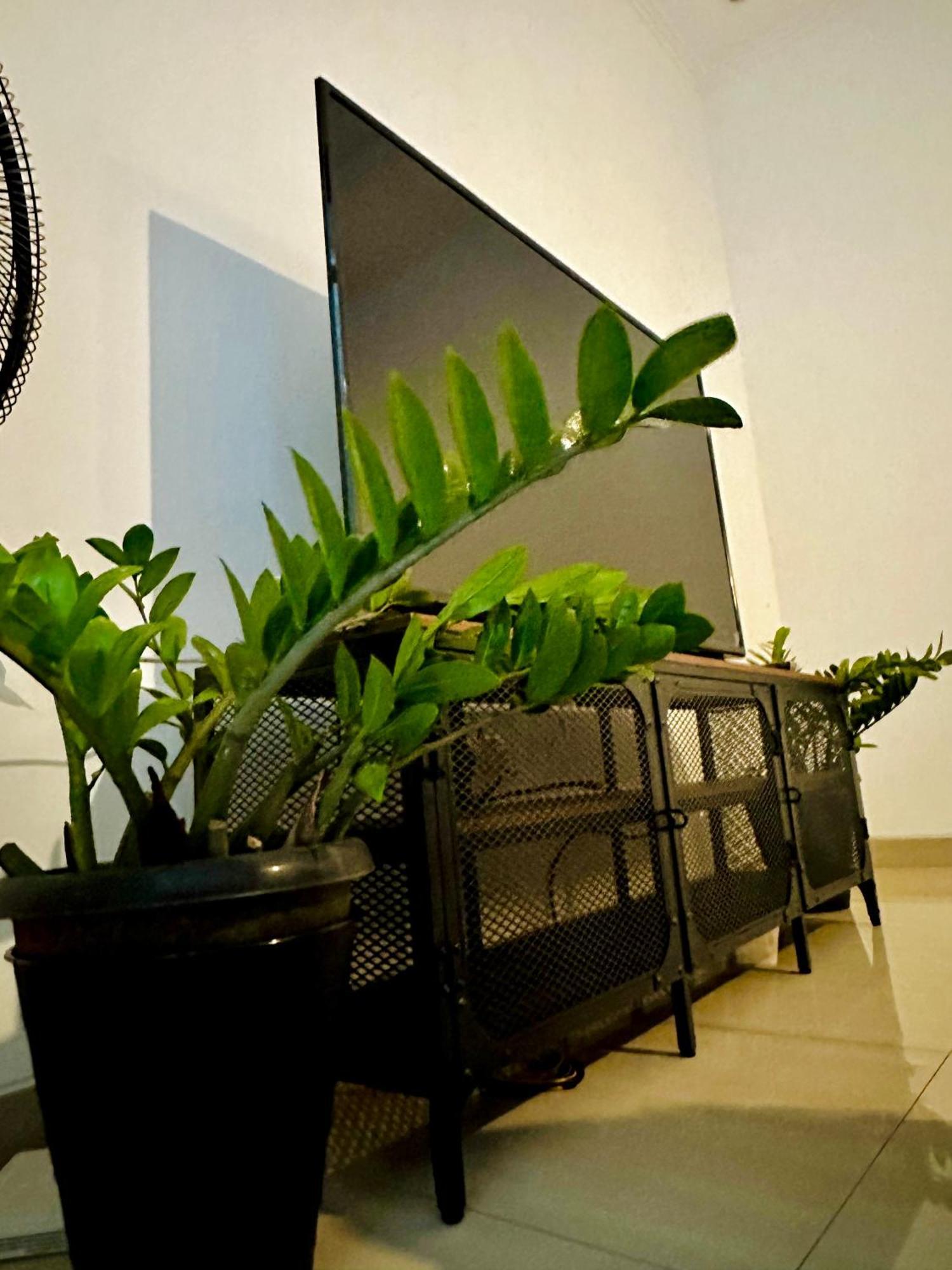 4-Bedroom Home In South Jakarta Nuansa Swadarma Residence By Le Ciel Hospitality Jacarta Exterior foto